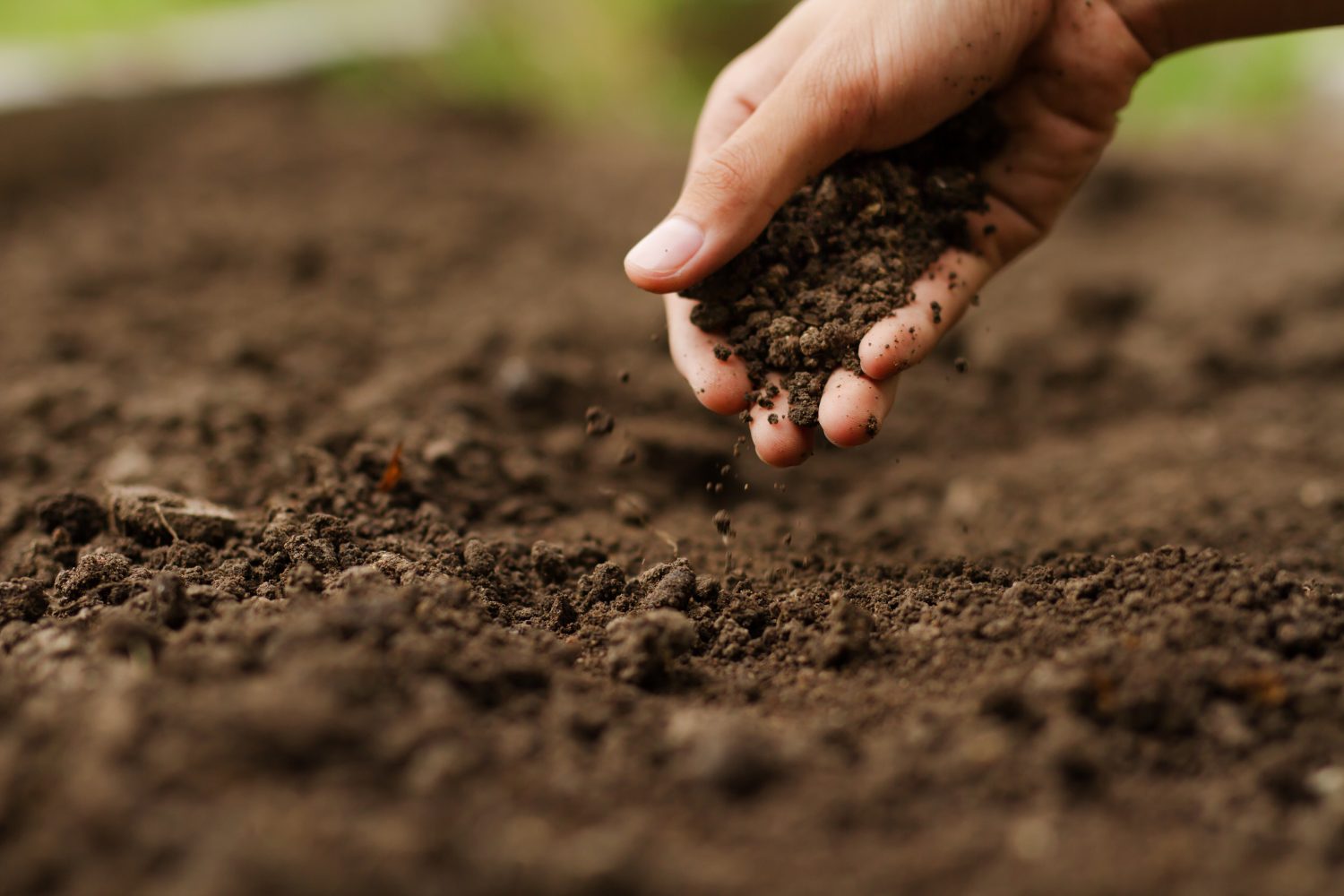 Hand checking soil on ground at vegetable garden Expert hand of farmer checking soil health before growth a seed of vegetable or plant seedling. Gardening technical, Agriculture concept.