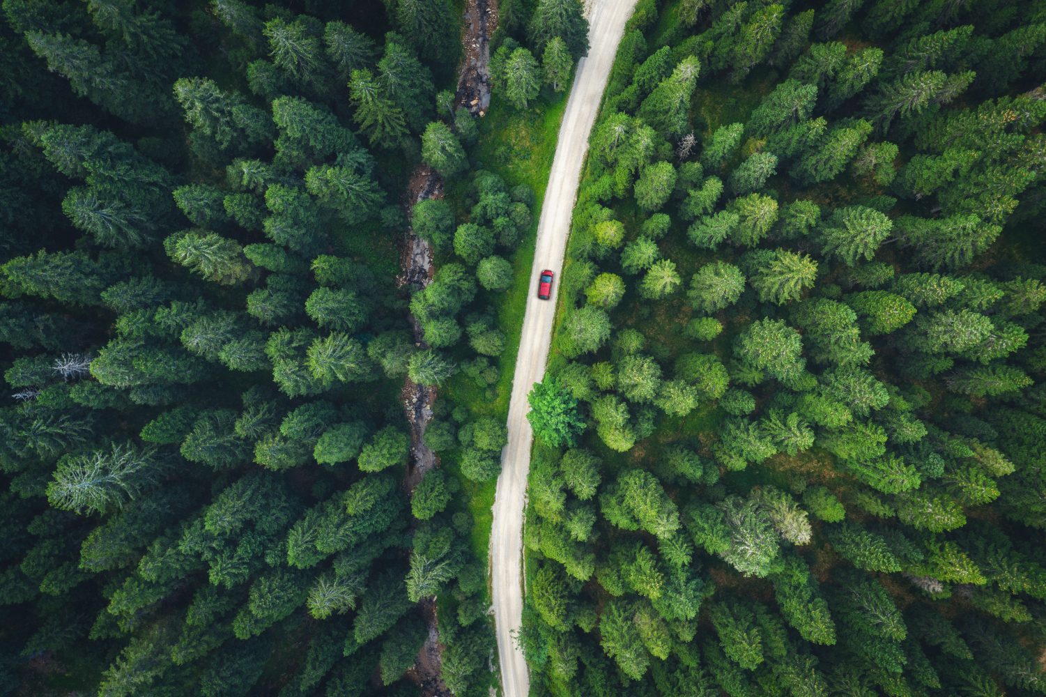 Mountain Road Red car driving on idyllic country road through the green pine forest.