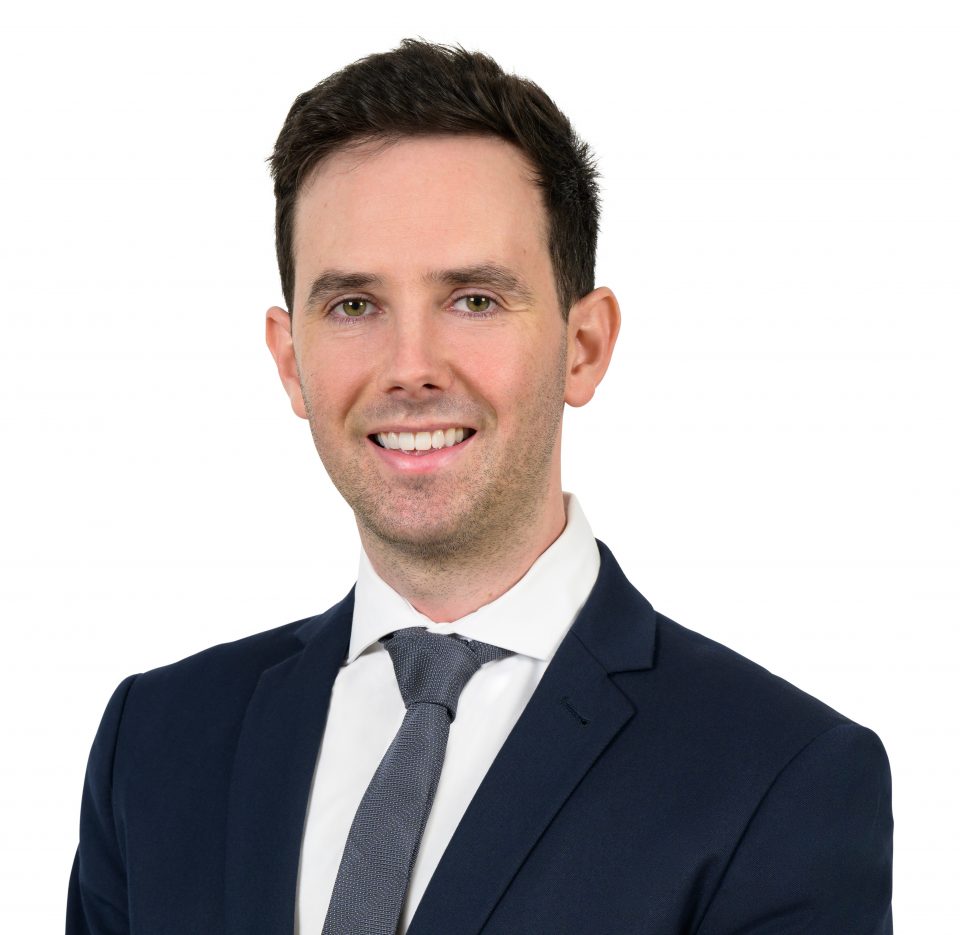 Ashley Feldman - Cropped White Background - 240724