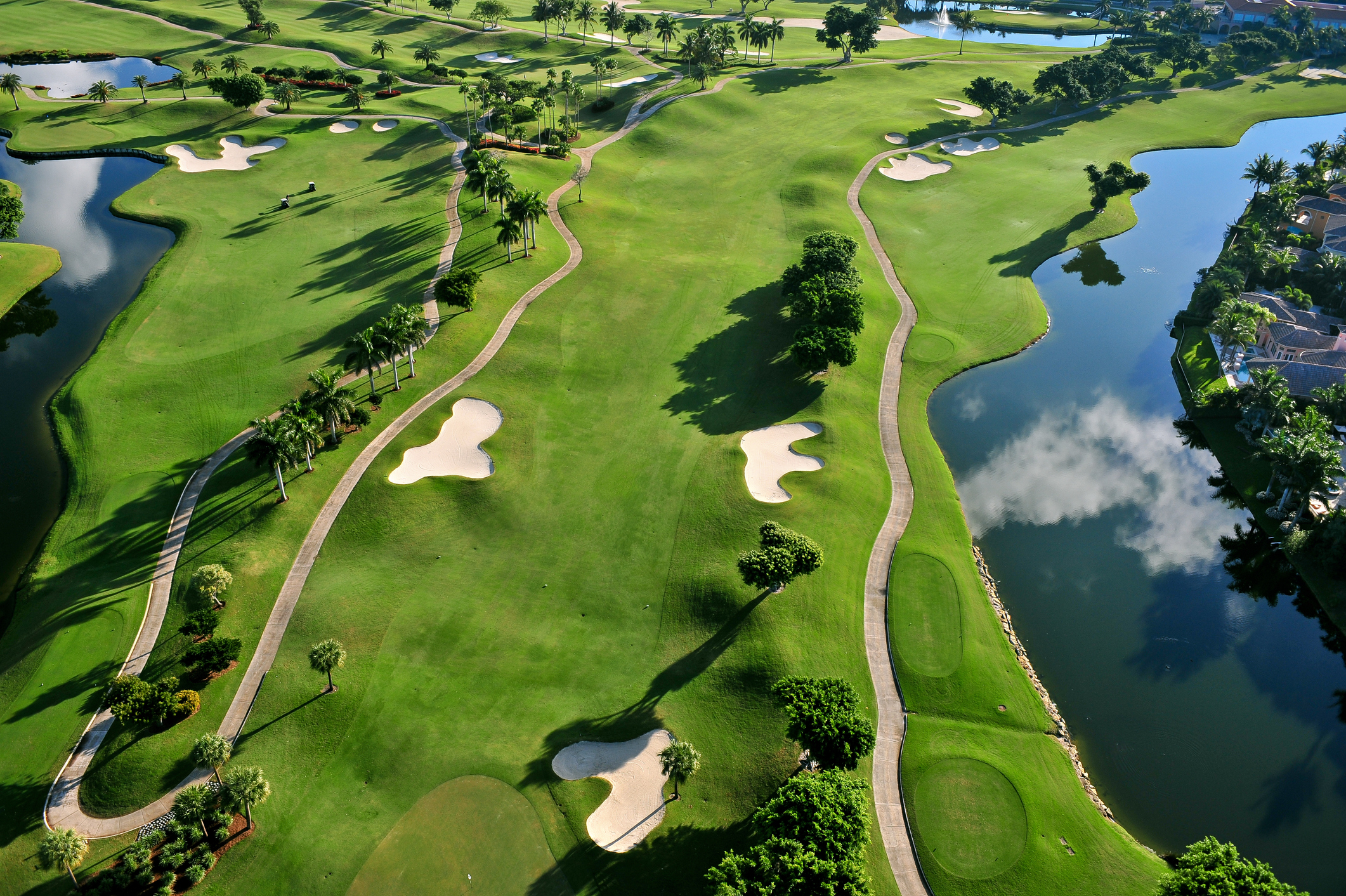 Fairway through field